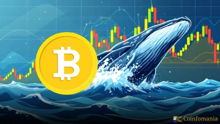 Un Cétacé Bitcoin Vend 3 000 BTC pour USDC après un Échange de 4 Mds $ en ETH
