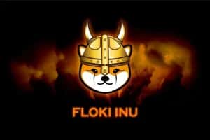 Floki Inu’s (FLOKI) Wild 2025 Predictions: Can It Really Hit $0.000486? Bullish Forecasts Clash with Bearish Trends