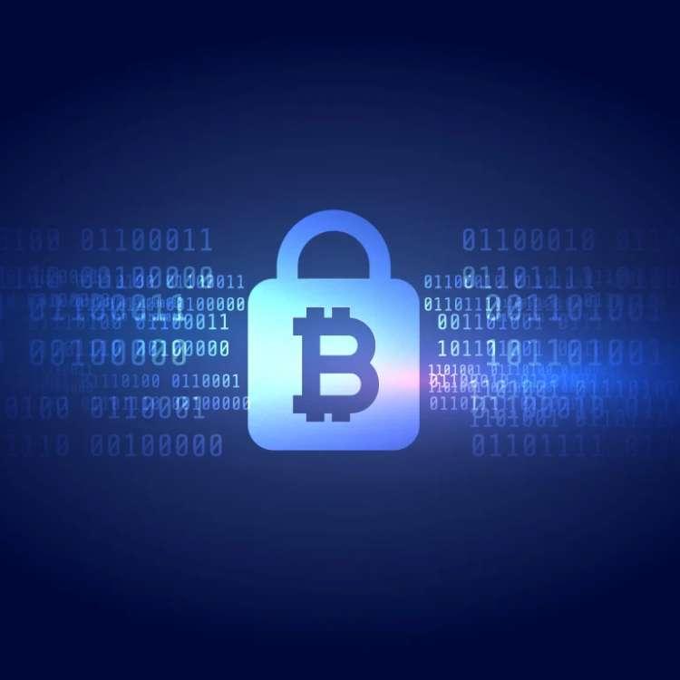 What Is A Public And Private Key In Cryptocurrency?