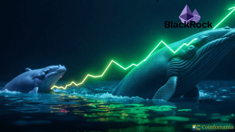 BlackRock Ethereum Buy Hits $323M as Whales Load Up