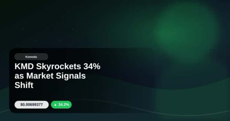 KMD Skyrockets 34% as Market Signals Shift