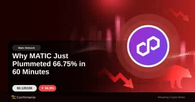 Why MATIC Just Plummeted 66.75% in 60 Minutes