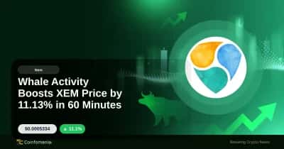 Whale Activity Boosts XEM Price by 11.13% in 60 Minutes
