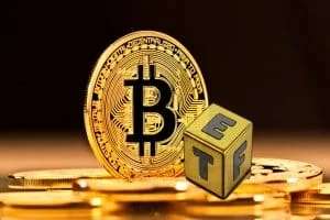 U.S. Spot Bitcoin ETFs Witness 9-Day Straight Net Inflows Amid Growing Market Interest