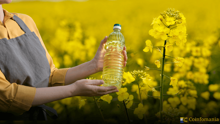China Tariffs Canadian Rapeseed under Anti-Dumping Probe