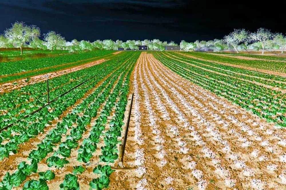 Crypto Market Back in Greens – BTC Battle $3.9k