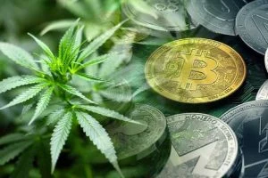 How Cryptocurrency is Helping the Cannabis Industry 