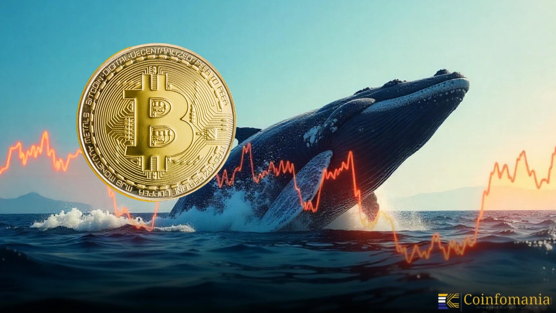 Whale Bold Bitcoin Short Backfires with Heavy Losses