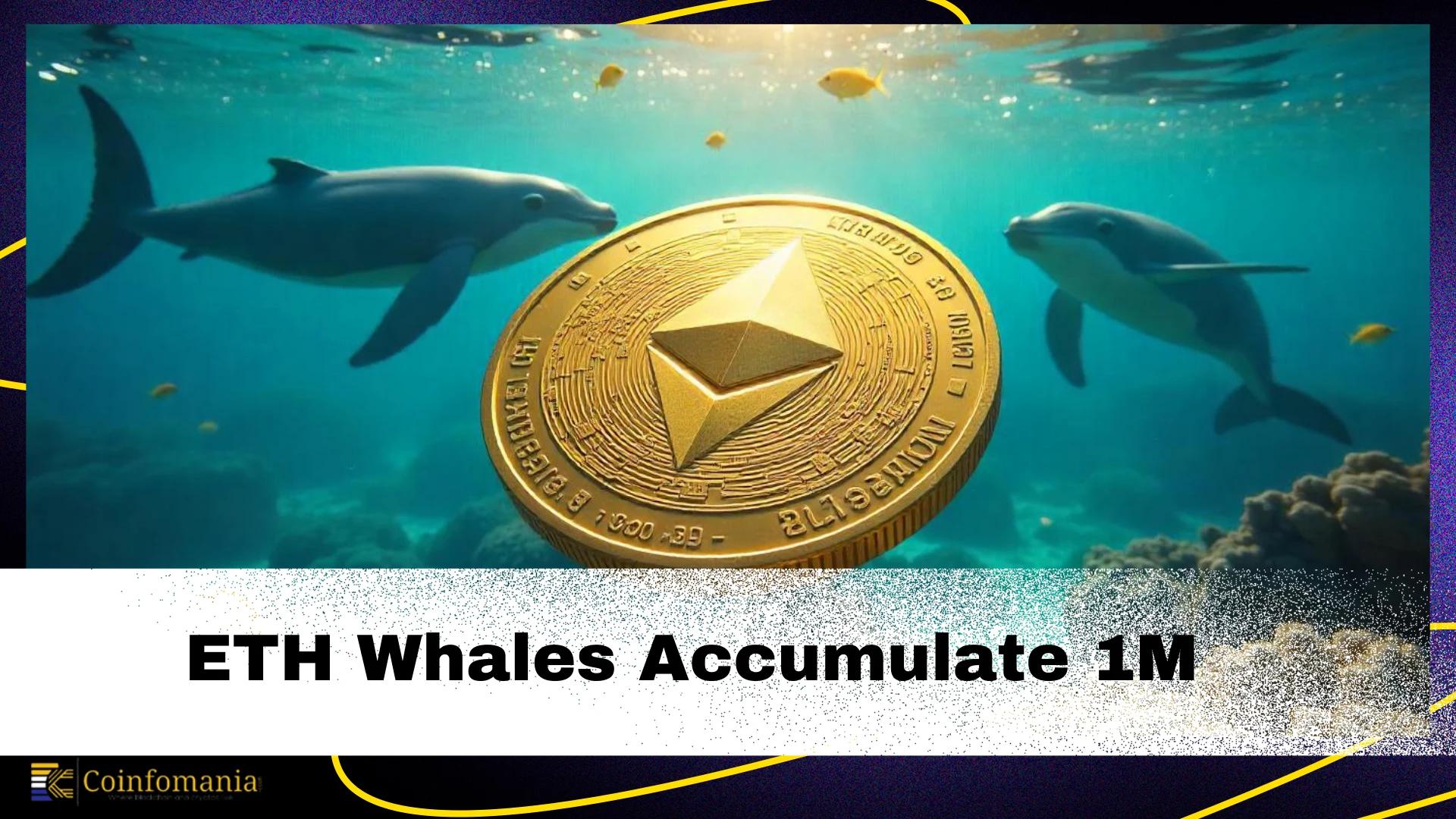 Ethereum Whales Accumulate Over 1 Million ETH, What Do Whales Know That You Don’t?