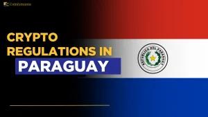 Cryptocurrency Regulation in Paraguay