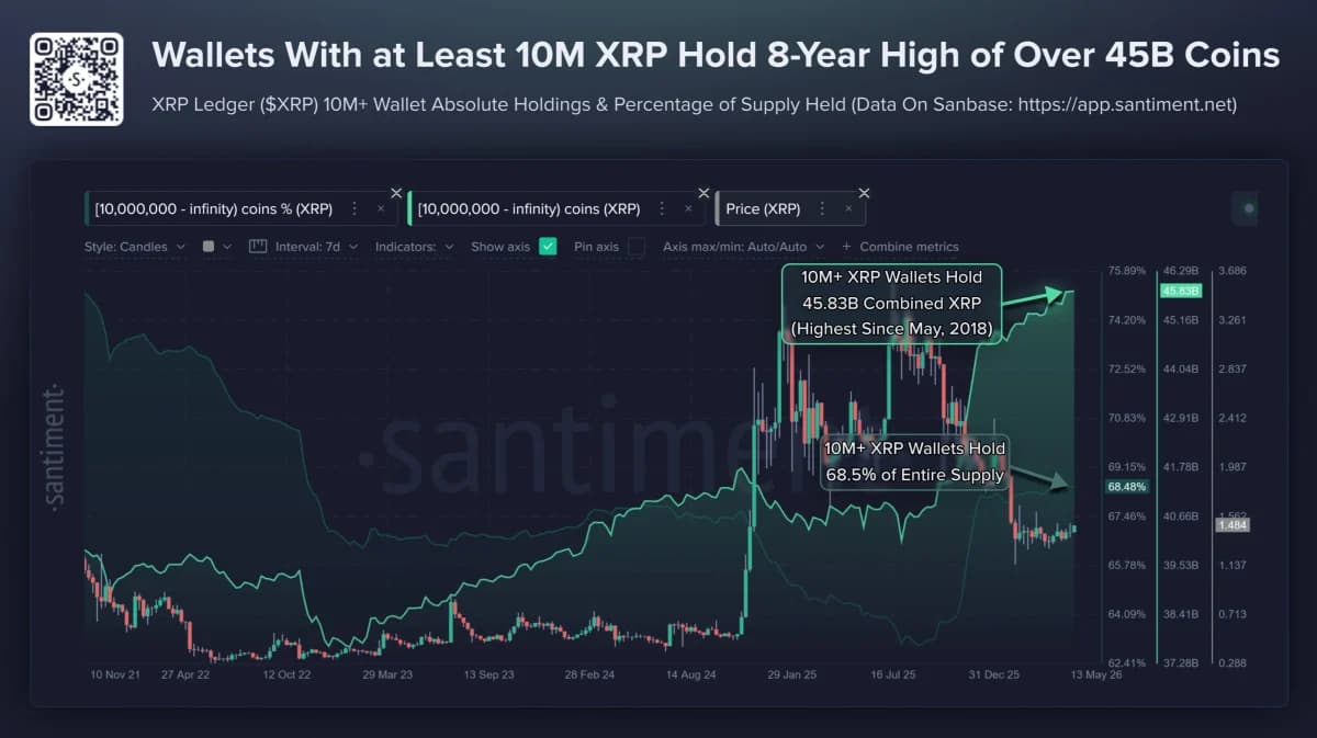 Source: Santiment – Large XRP Holder Concentration (10M+ wallets) 
