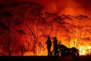 Perlin Partners ICC&#8217;s GreenUP Australia to Strengthen Resistance to Bushfires