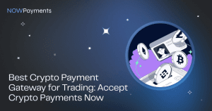 تتصدر شركة NOWPayments التهمة حيث تتبنى الشركات بوابات الدفع بالعملات المشفرة للتداول