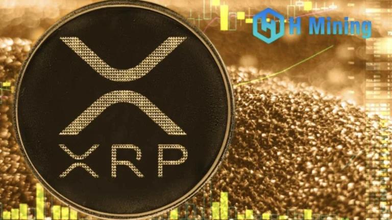 Profit from holding coins: Exploring the market prospects of mining XRP with H Mining