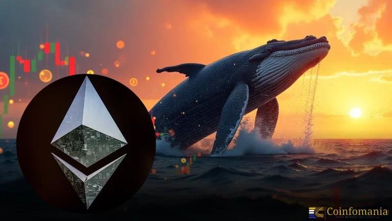 Whale Watch: $12M Ethereum Long Position on Hyperliquid Draws Attention