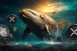 XRP Analysis: Whales Accumulate 100M Tokens as $11 Price Target Looms