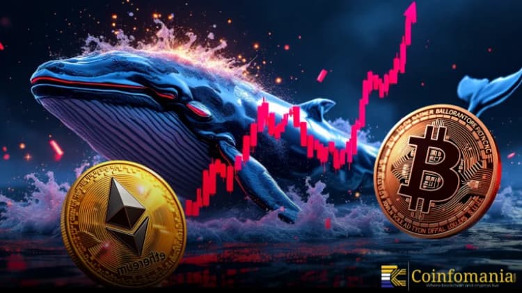 Un baleine dépense 40 millions de dollars en positions longues sur ETH et BTC