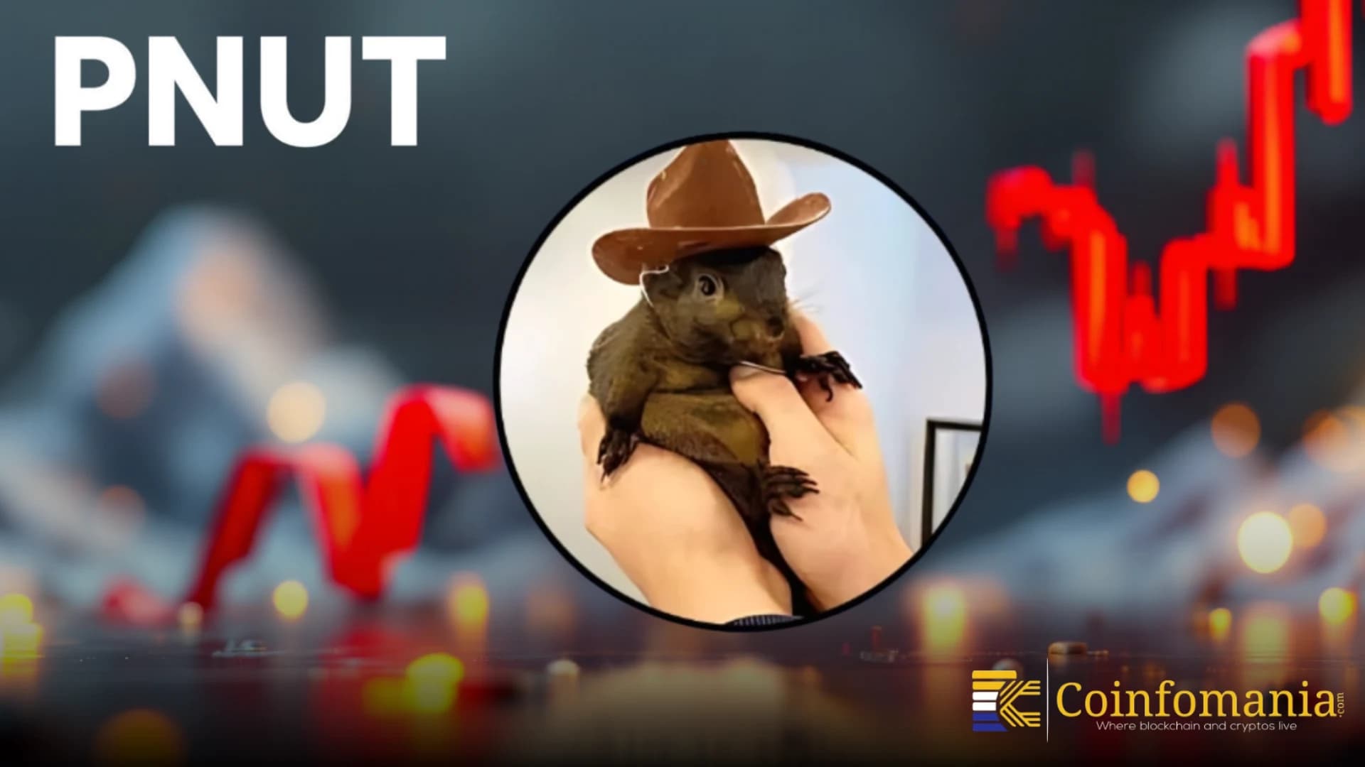 Почему действия PNUT привлекли внимание криптотрейдеров?