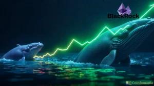 BlackRock compra Ethereum por 323 millones de dólares mientras las ballenas acumulan