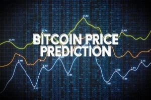 Bitcoin Price Prediction 2024-2030: Will the Nearly $23B Worth BTC Accumulated in Recent Months By &#8216;Whales&#8217; Drive Price to $100k in 2024?