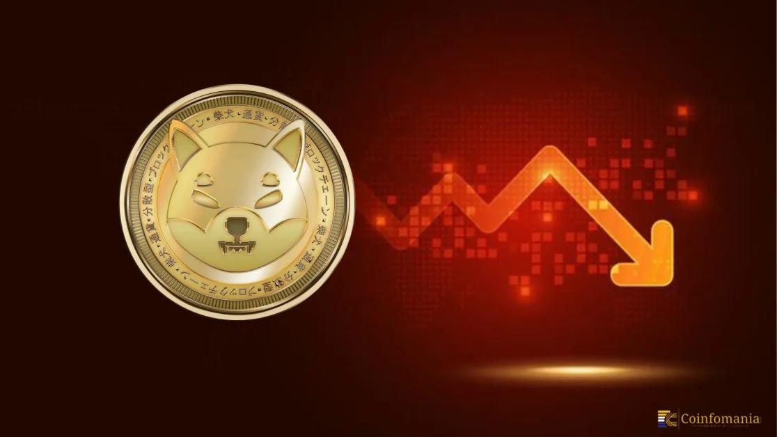 Dogecoin Price Crashes Below $0.14 — But Can This Meme Coin Really Soar 714,000% to $100?