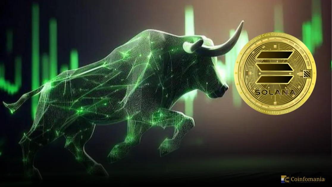 Solana Price Action Crashes 70% — Bullish Divergences Hint At A 20% SOL Pump Ahead
