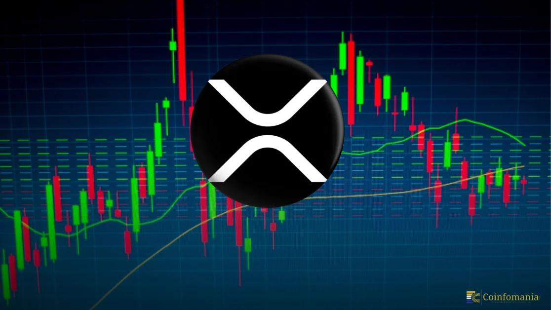 Holding 10,000+ XRP Puts You in the Elite — But Is It Still the Smart Play for 2025?