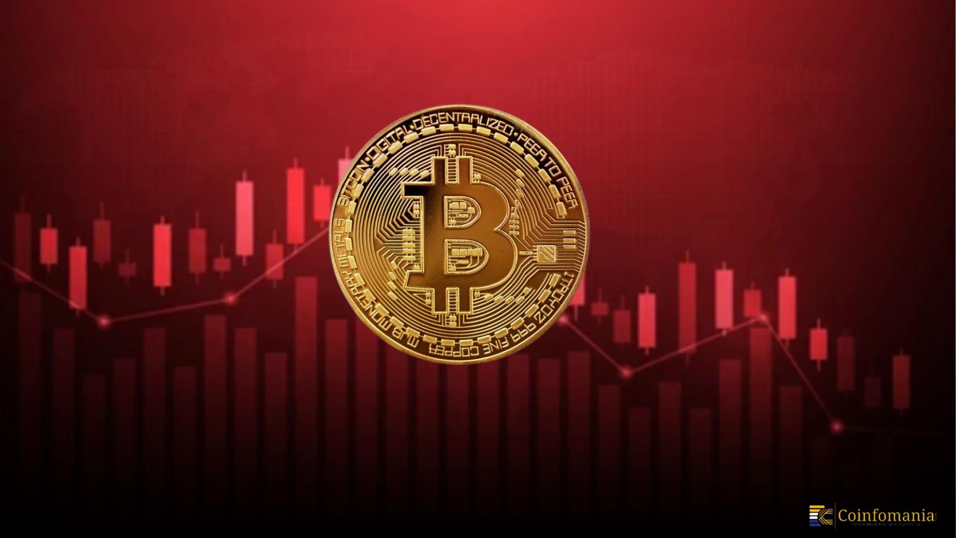 Bitcoin Didn’t Crash Like the Rest—Is It Becoming the New Safe Haven?