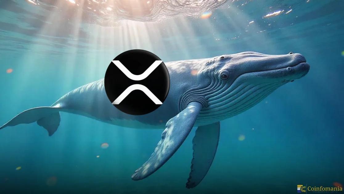 $800M XRP Whales Sell-Off Trigger Chaos: Is XRP $2 Support Level In Danger?