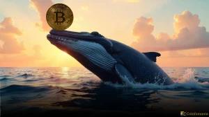 Bitcoin Price Turns a Corner: Whales and Institutions Lead the Charge