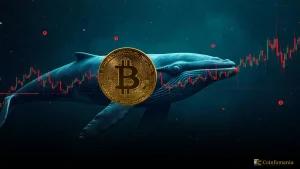 Bitcoin Price Reaches New Heights: Can Whale Activity Push BTC to $95,000?