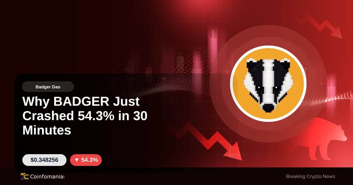Why BADGER Just Crashed 54.3% in 30 Minutes