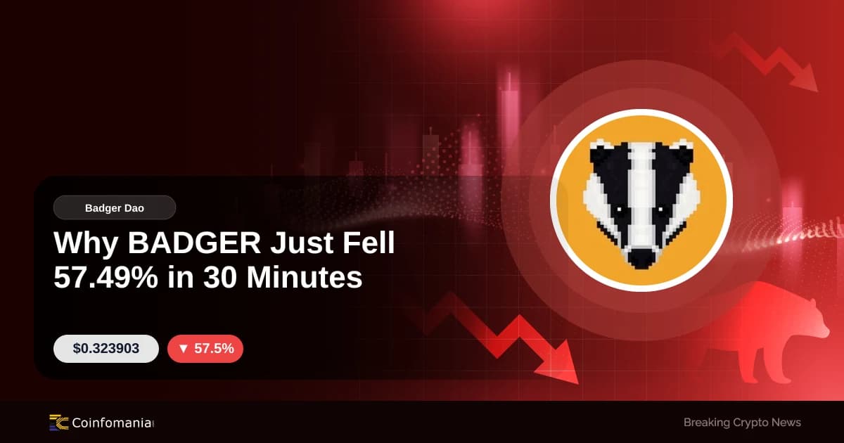 Why BADGER Just Fell 57.49% in 30 Minutes