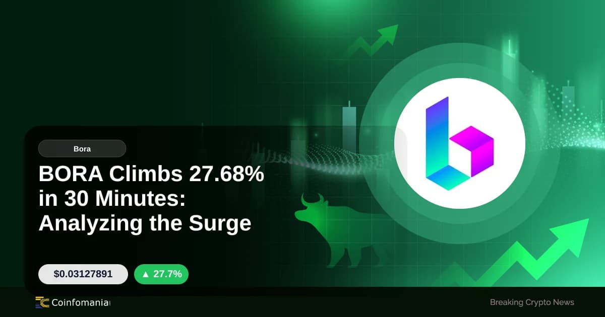 BORA tăng 27,68% trong 30 phút: Phân tích sự gia tăng