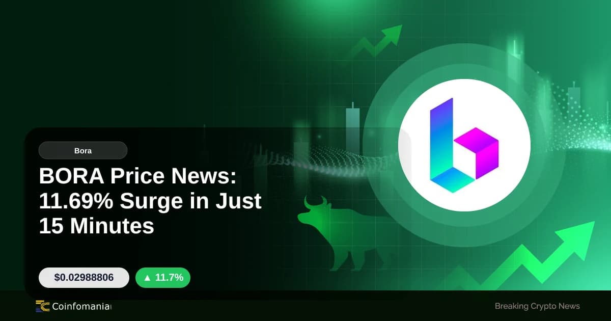 BORA Price News: 11.69% Surge in Just 15 Minutes