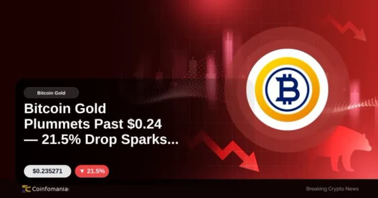 Bitcoin Gold chute en dessous de 0,24 $ — Une baisse de 21,5 % suscite des inquiétudes