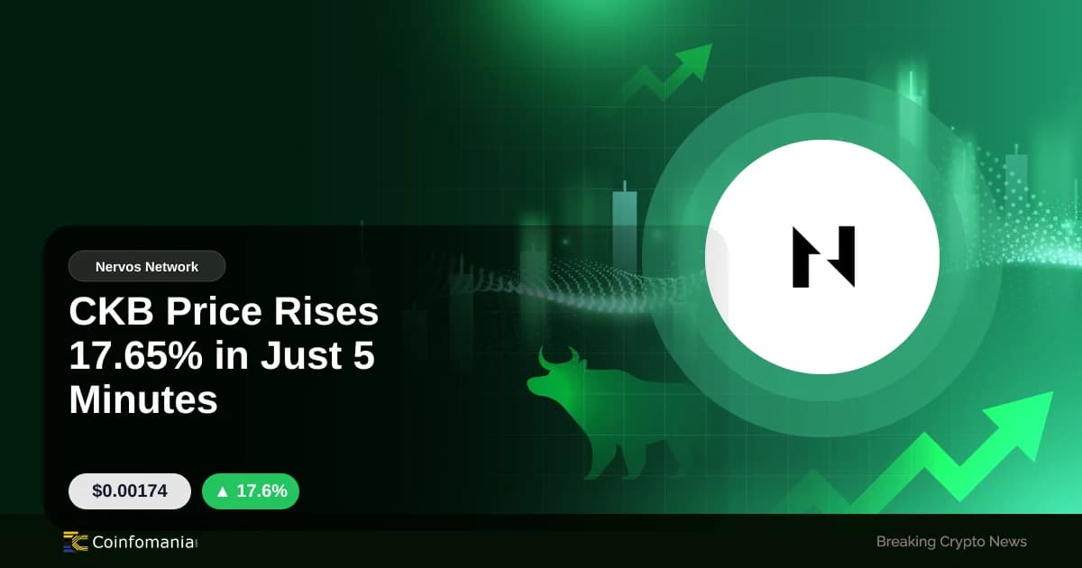 CKB Price Rises 17.65% in Just 5 Minutes