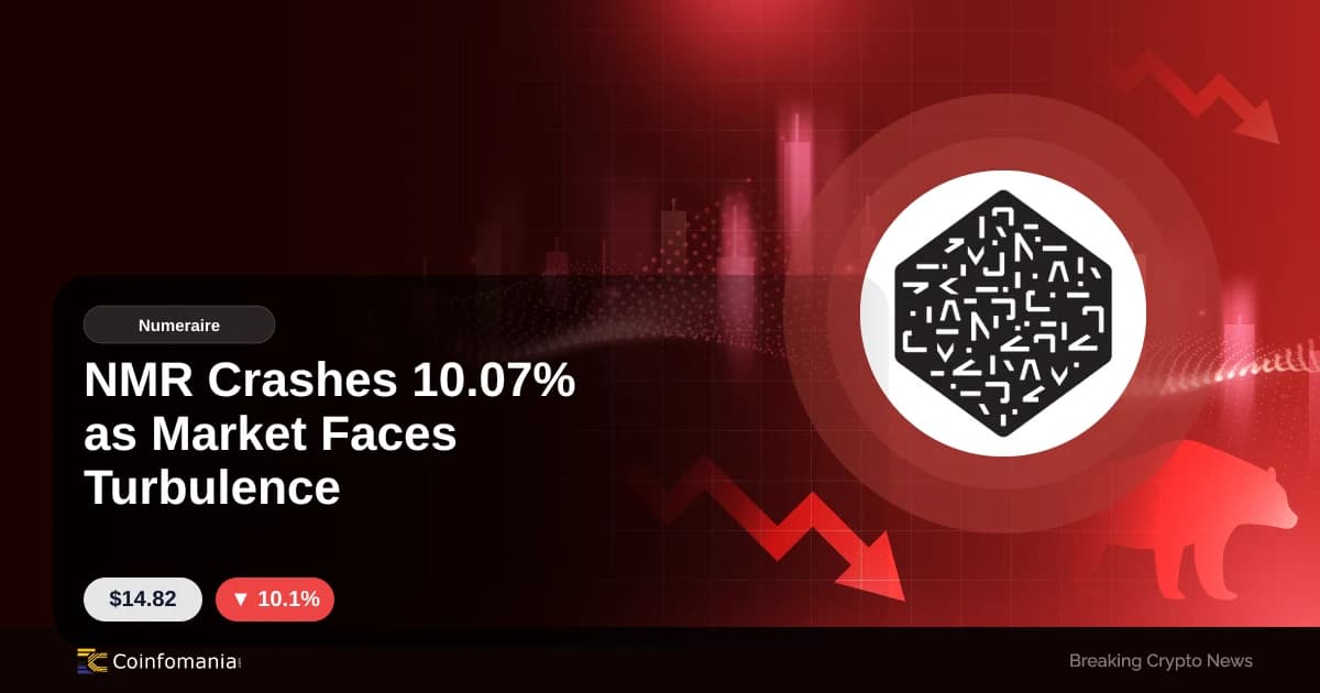 NMR Crashes 10.07% as Market Faces Turbulence