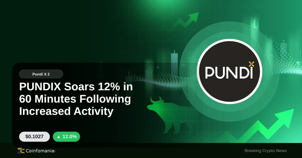PUNDIX Soars 12% in 60 Minutes Following Increased Activity
