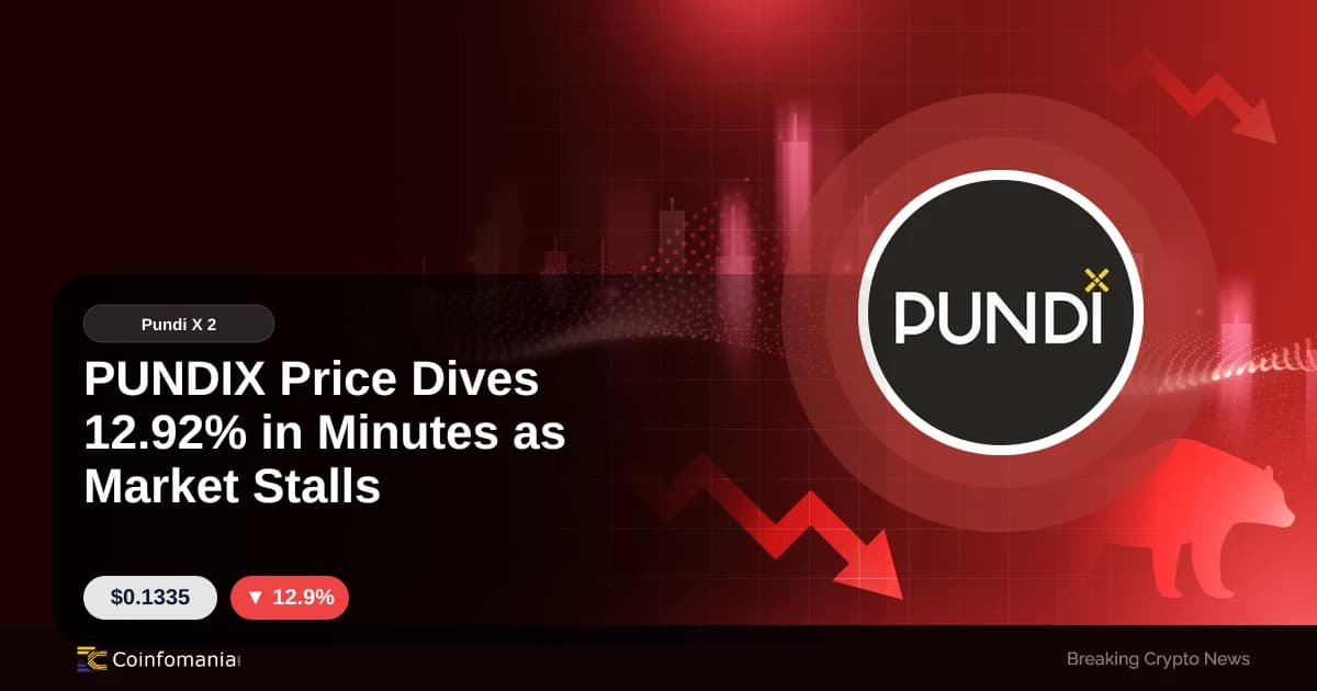 PUNDIX Price Dives 12.92% in Minutes as Market Stalls