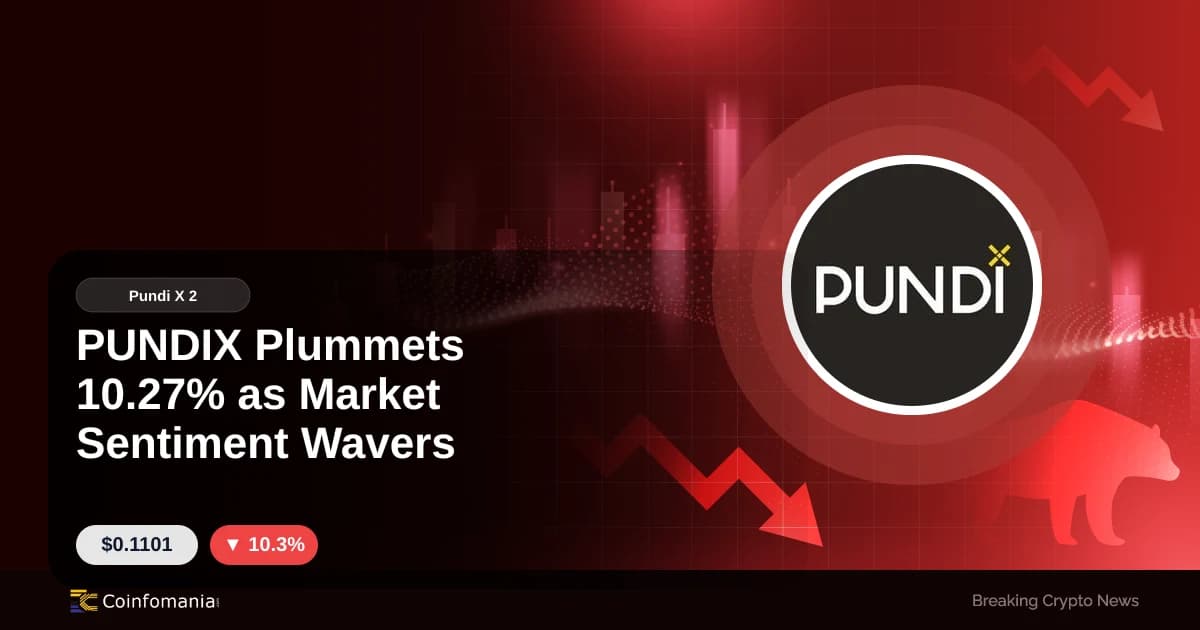 PUNDIX Plummets 10.27% as Market Sentiment Wavers