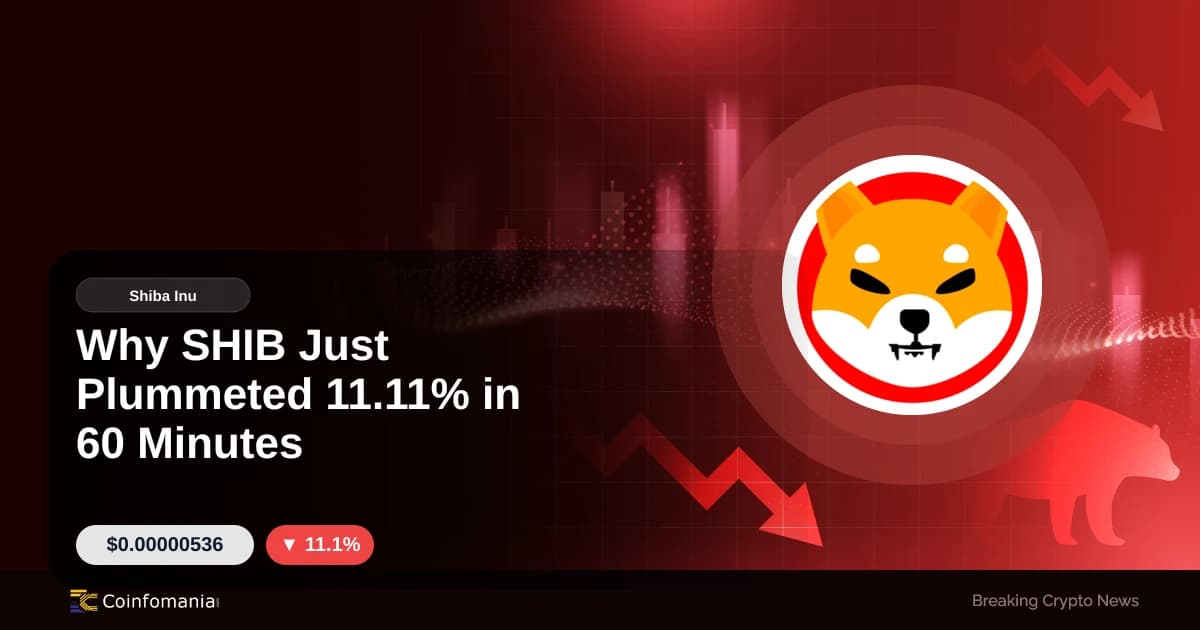SHIB crolla dell’11,11% in 60 minuti: analisi del prezzo oggi