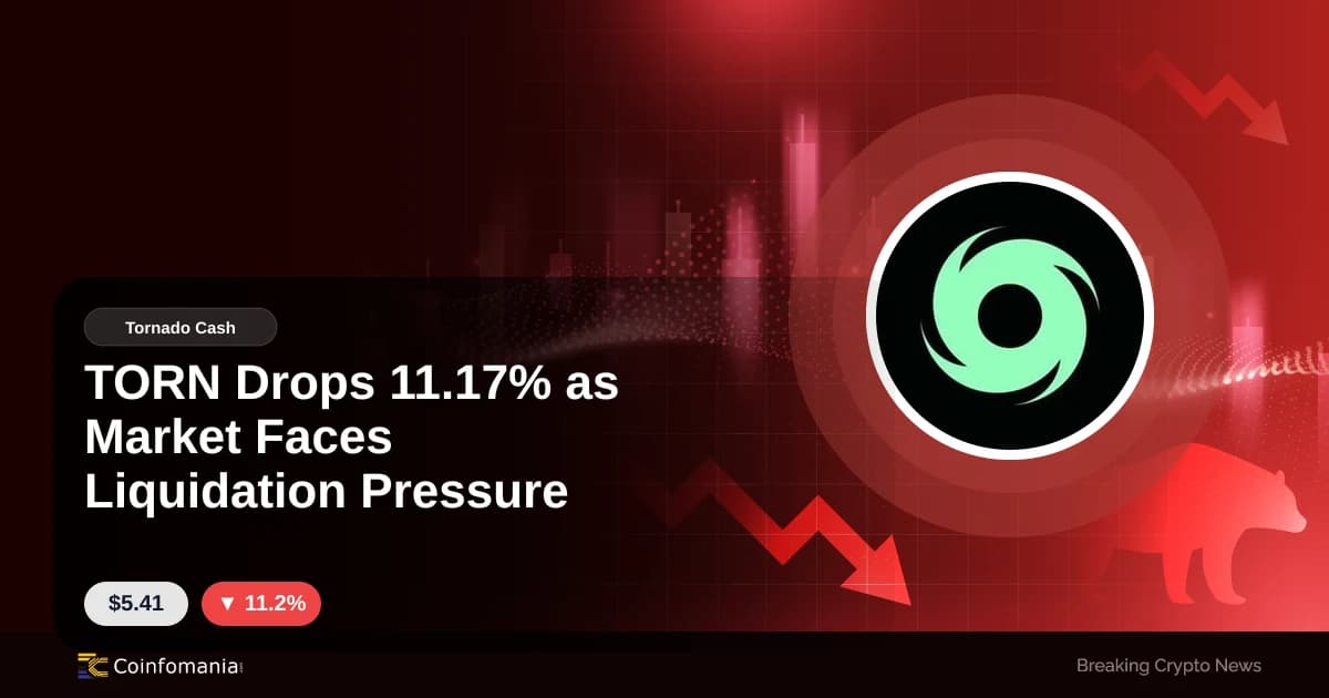 TORN Drops 11.17% as Market Faces Liquidation Pressure