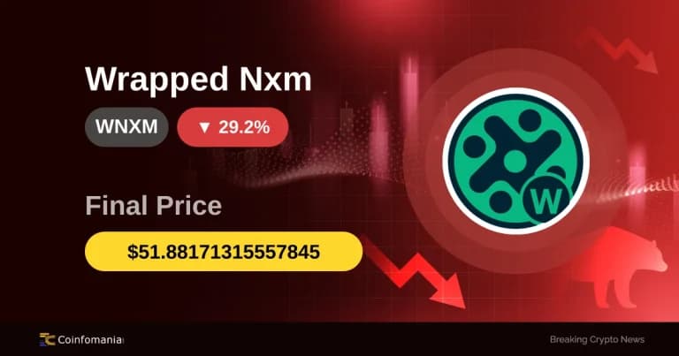 WNXM in Freefall: 29.18% Plunge Shocks Traders
