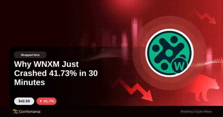 Pourquoi WNXM s’est effondré à 41,73% en 30 minutes?