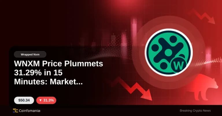 WNXM Price Plummets 31.29% in 15 Minutes: Market Turmoil