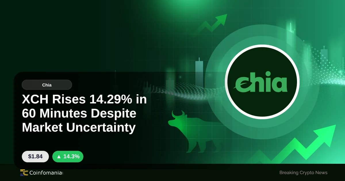 XCH Rises 14.29% in 60 Minutes Despite Market Uncertainty