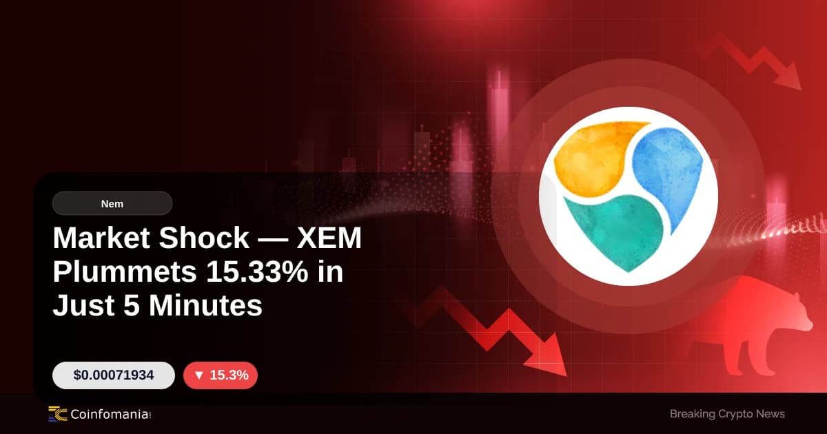Marktschock XEM fällt 15,33% in nur 5 Minuten