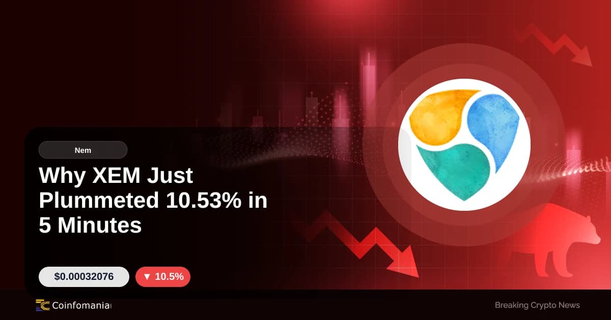 Why XEM Just Plummeted 10.53% in 5 Minutes
