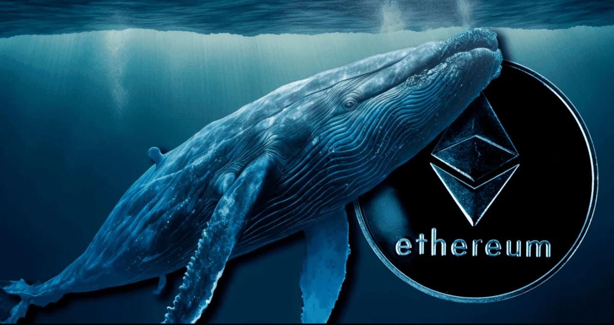 Over 5,500 ETH Transferred to Kraken Amid Price Decline